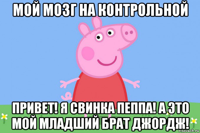 мой мозг на контрольной привет! я свинка пеппа! а это мой младший брат джордж!, Мем Пеппа