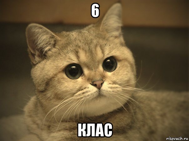 6 клас