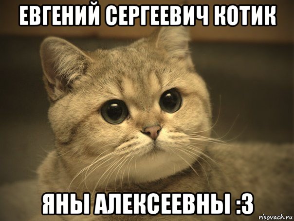 евгений сергеевич котик яны алексеевны :3