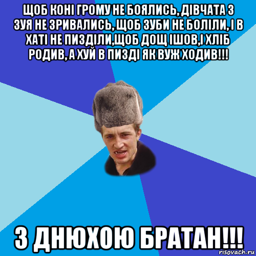 щоб коні грому не боялись, дівчата з зуя не зривались, щоб зуби не боліли, і в хаті не пизділи,щоб дощ ішов,і хліб родив, а хуй в пизді як вуж ходив!!! з днюхою братан!!!, Мем Празднчний паца