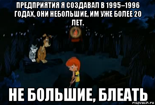 предприятия я создавал в 1995–1996 годах, они небольшие, им уже более 20 лет. не большие, блеать