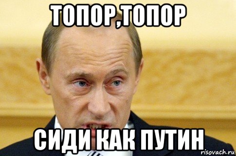 топор,топор сиди как путин, Мем путин