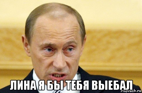  лина я бы тебя выебал, Мем путин