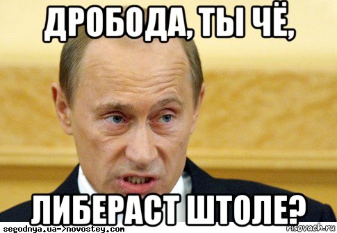 дробода, ты чё, либераст штоле?, Мем  Путин