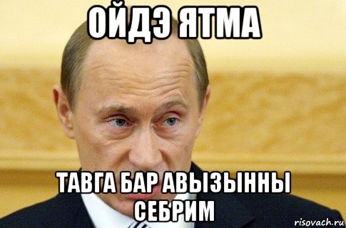 ойдэ ятма тавга бар авызынны себрим, Мем путин