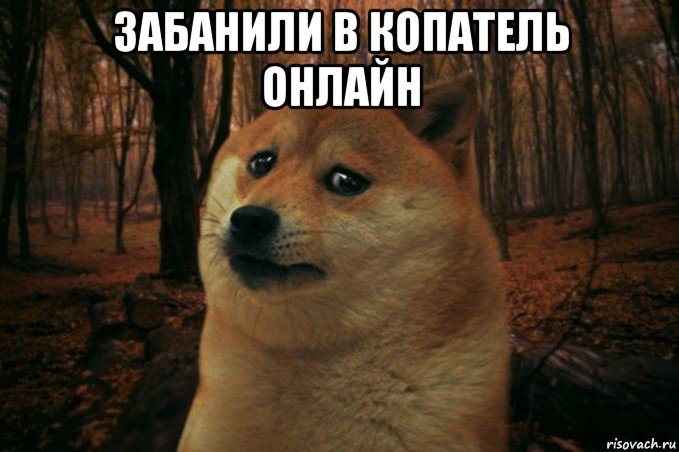 забанили в копатель онлайн , Мем SAD DOGE