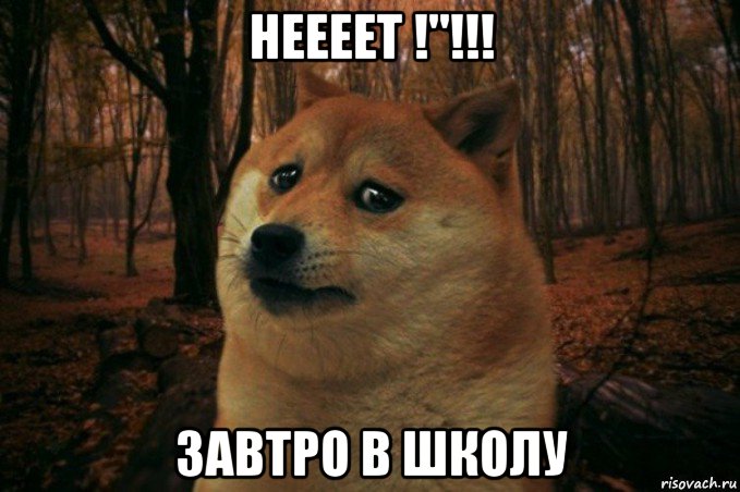 неееет !"!!! завтро в школу, Мем SAD DOGE