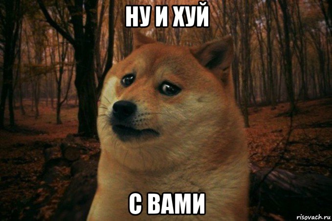 ну и хуй с вами, Мем SAD DOGE