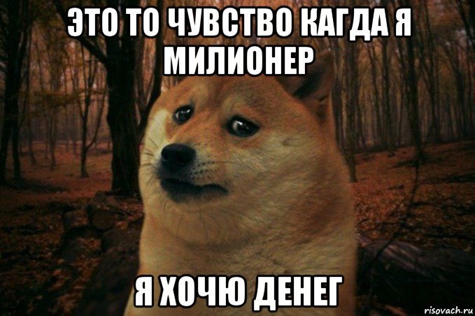 это то чувство кагда я милионер я хочю денег, Мем SAD DOGE