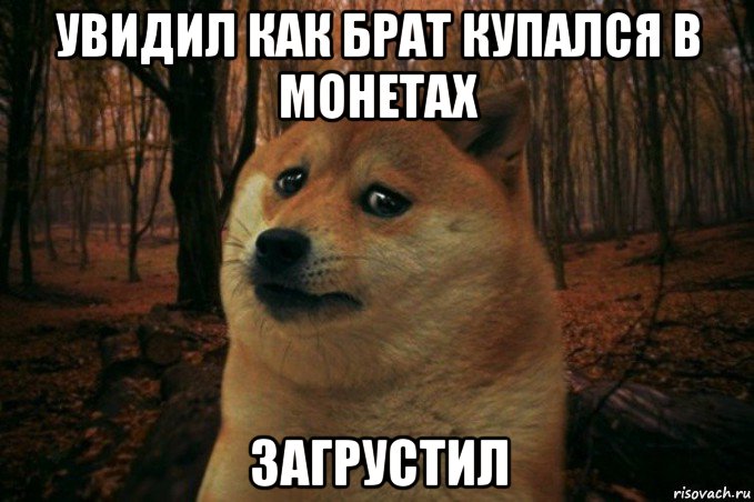 увидил как брат купался в монетах загрустил, Мем SAD DOGE