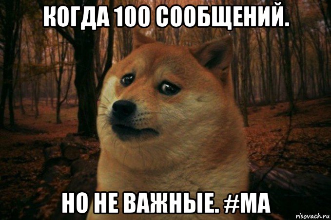 когда 100 сообщений. но не важные. #ma, Мем SAD DOGE