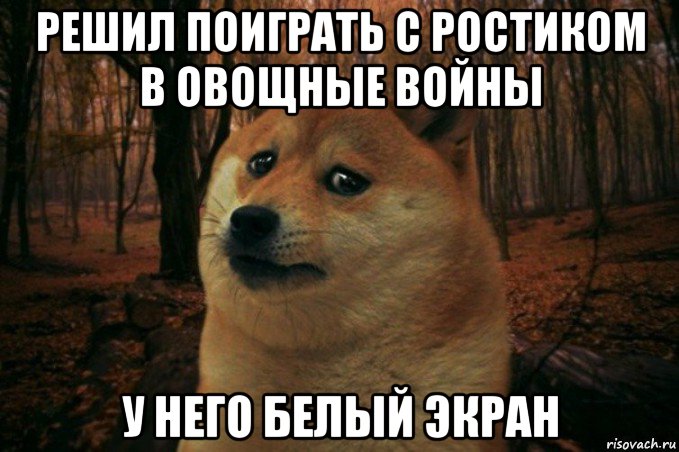 решил поиграть с ростиком в овощные войны у него белый экран, Мем SAD DOGE