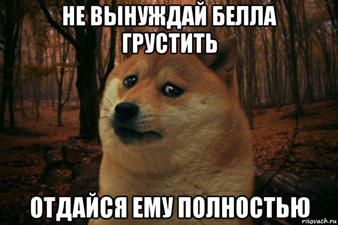 не вынуждай белла грустить отдайся ему полностью, Мем SAD DOGE