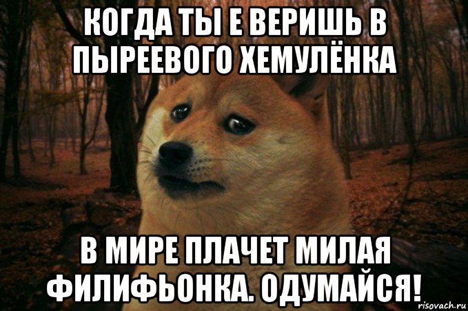 когда ты е веришь в пыреевого хемулёнка в мире плачет милая филифьонка. одумайся!, Мем SAD DOGE