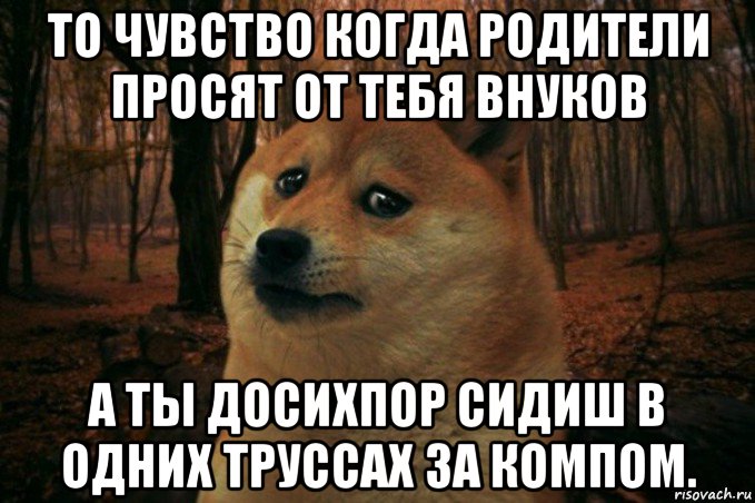 то чувство когда родители просят от тебя внуков а ты досихпор сидиш в одних труссах за компом., Мем SAD DOGE