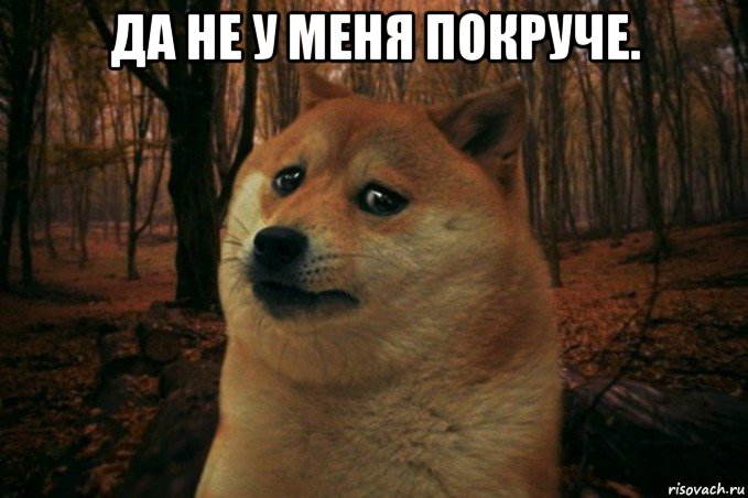 да не у меня покруче. , Мем SAD DOGE