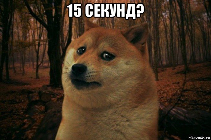 15 секунд? , Мем SAD DOGE