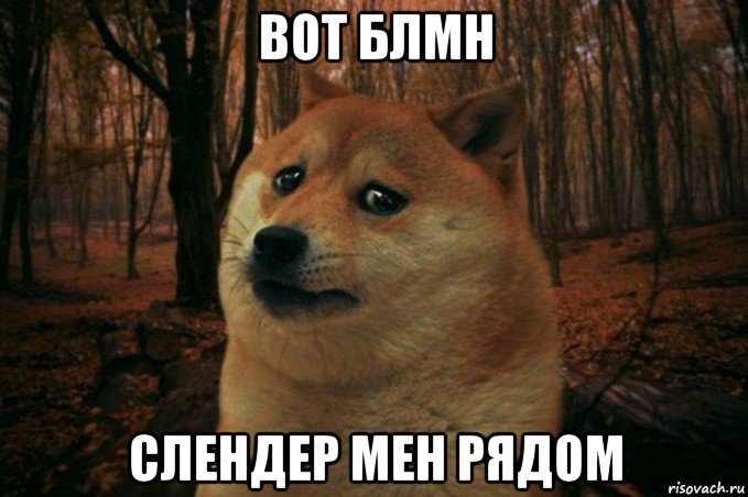 вот блмн слендер мен рядом, Мем SAD DOGE