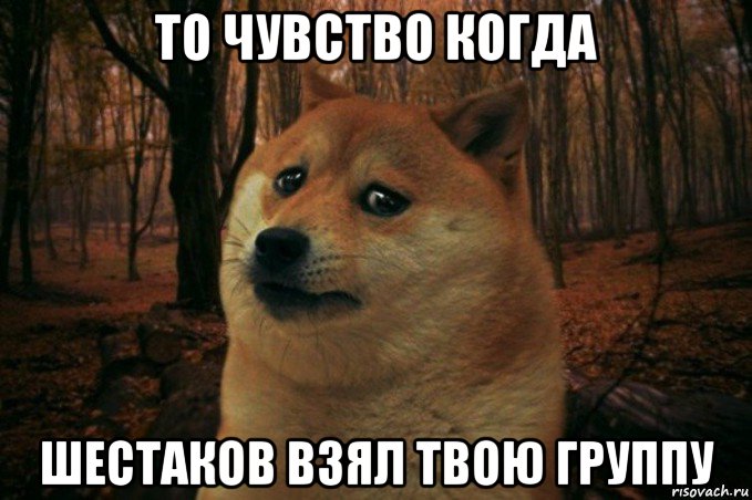 то чувство когда шестаков взял твою группу, Мем SAD DOGE