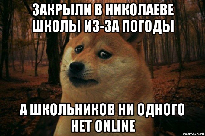 закрыли в николаеве школы из-за погоды а школьников ни одного нет online, Мем SAD DOGE