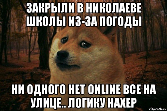 закрыли в николаеве школы из-за погоды ни одного нет online все на улице.. логику нахер, Мем SAD DOGE