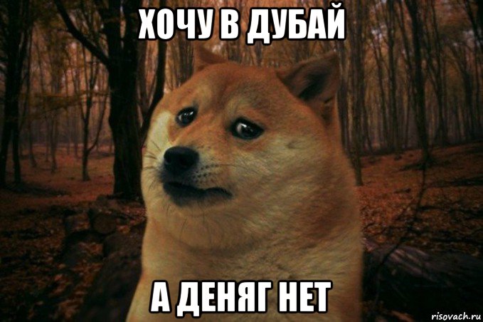 хочу в дубай а деняг нет, Мем SAD DOGE