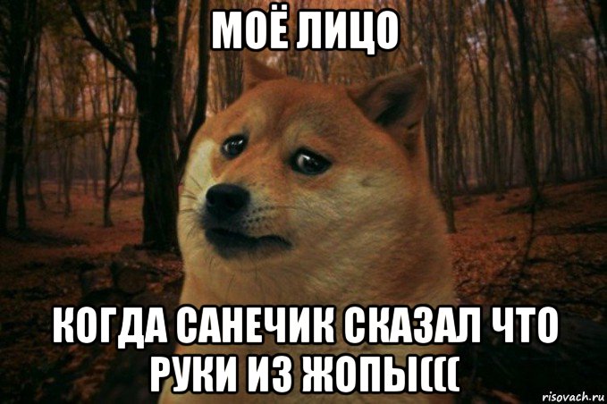 моё лицо когда санечик сказал что руки из жопы(((, Мем SAD DOGE