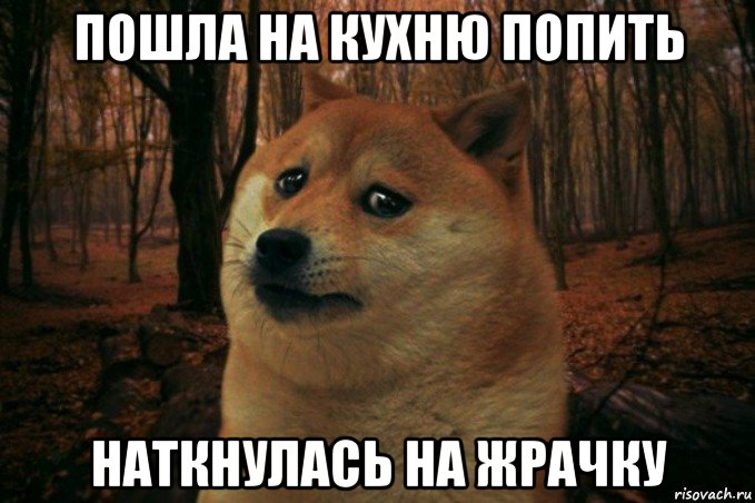 пошла на кухню попить наткнулась на жрачку, Мем SAD DOGE