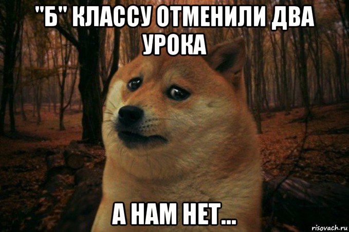 "б" классу отменили два урока а нам нет..., Мем SAD DOGE