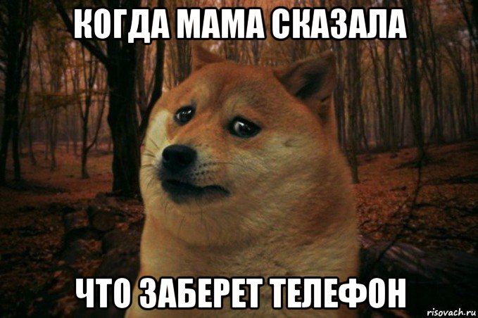 когда мама сказала что заберет телефон, Мем SAD DOGE