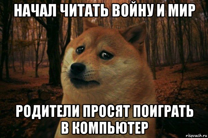 начал читать войну и мир родители просят поиграть в компьютер, Мем SAD DOGE