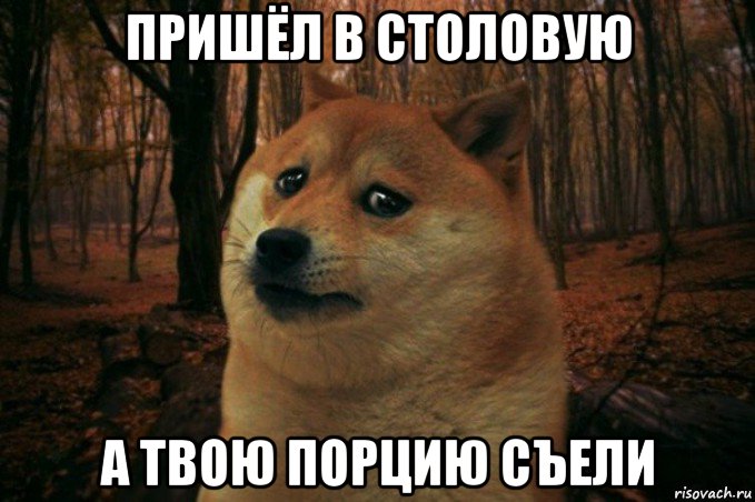 пришёл в столовую а твою порцию съели, Мем SAD DOGE