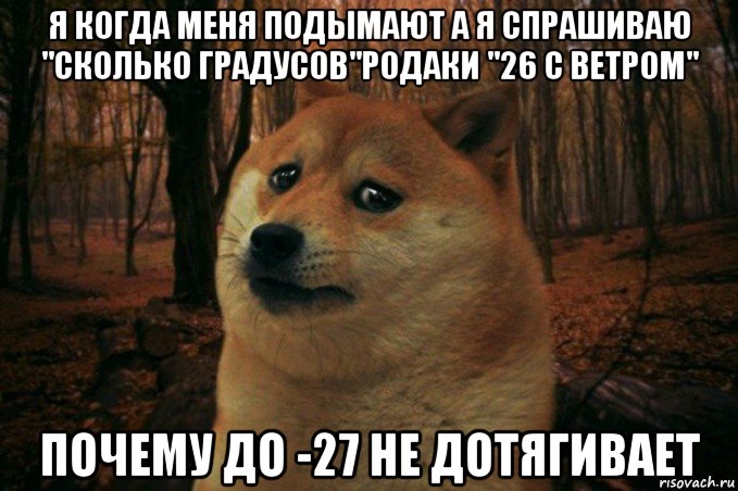 я когда меня подымают а я спрашиваю "сколько градусов"родаки "26 с ветром" почему до -27 не дотягивает, Мем SAD DOGE