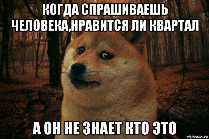 когда спрашиваешь человека,нравится ли квартал а он не знает кто это, Мем SAD DOGE