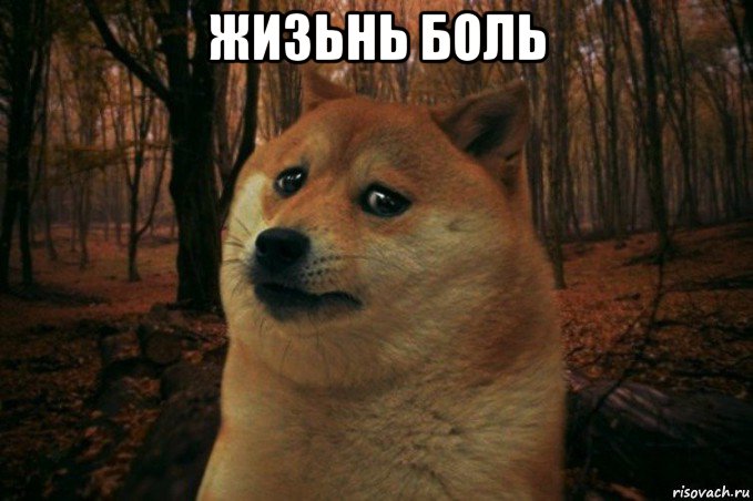 жизьнь боль , Мем SAD DOGE