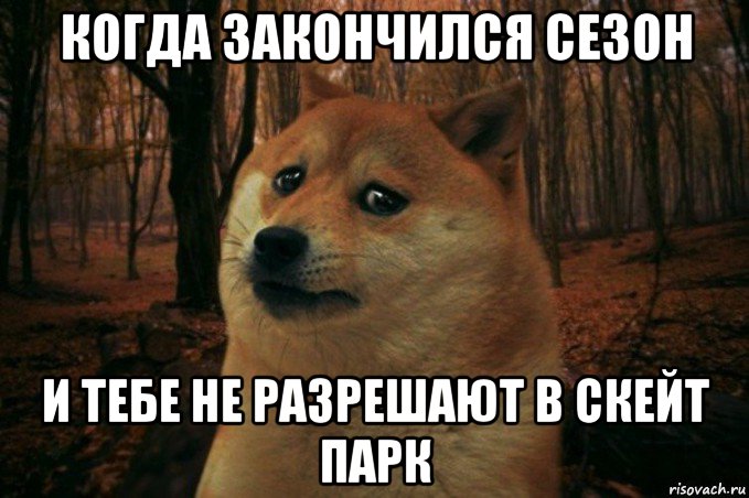 когда закончился сезон и тебе не разрешают в скейт парк, Мем SAD DOGE