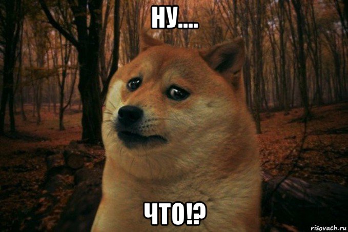 ну.... что!?, Мем SAD DOGE