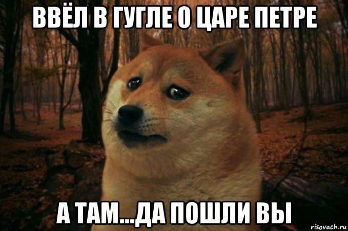 ввёл в гугле о царе петре а там...да пошли вы, Мем SAD DOGE