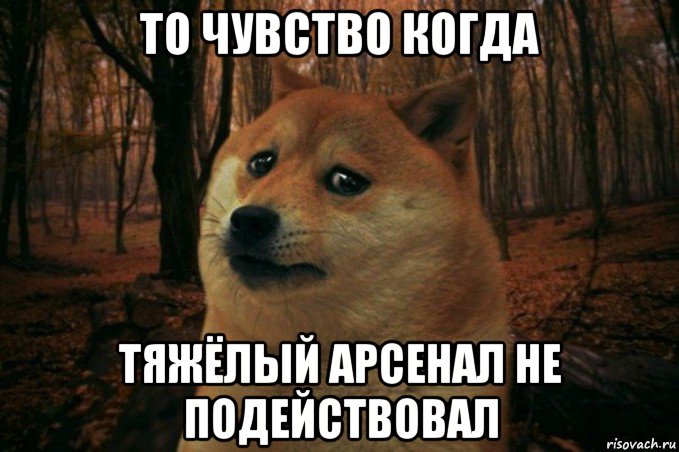 то чувство когда тяжёлый арсенал не подействовал, Мем SAD DOGE