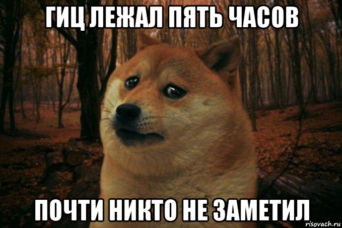 гиц лежал пять часов почти никто не заметил, Мем SAD DOGE