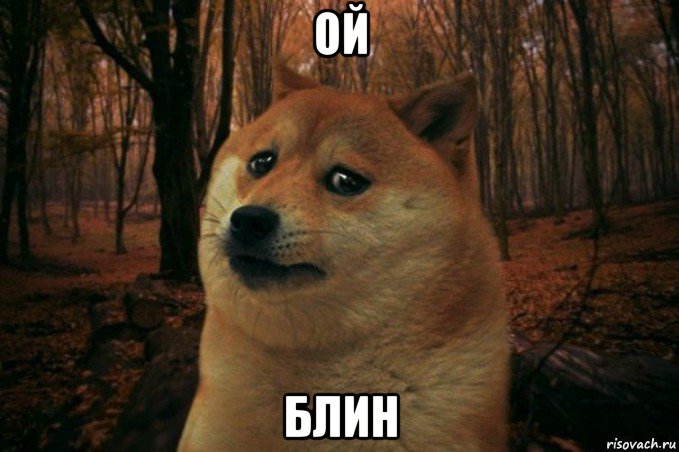 ой блин, Мем SAD DOGE