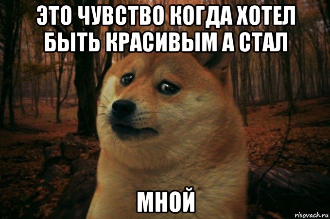 это чувство когда хотел быть красивым а стал мной, Мем SAD DOGE