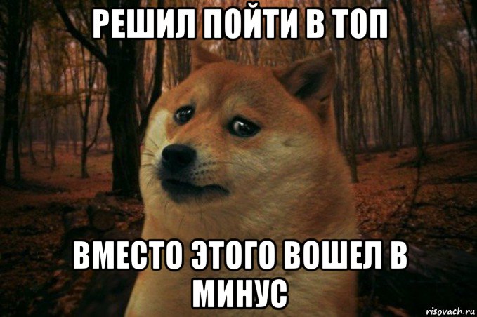 решил пойти в топ вместо этого вошел в минус, Мем SAD DOGE