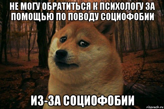 не могу обратиться к психологу за помощью по поводу социофобии из-за социофобии, Мем SAD DOGE