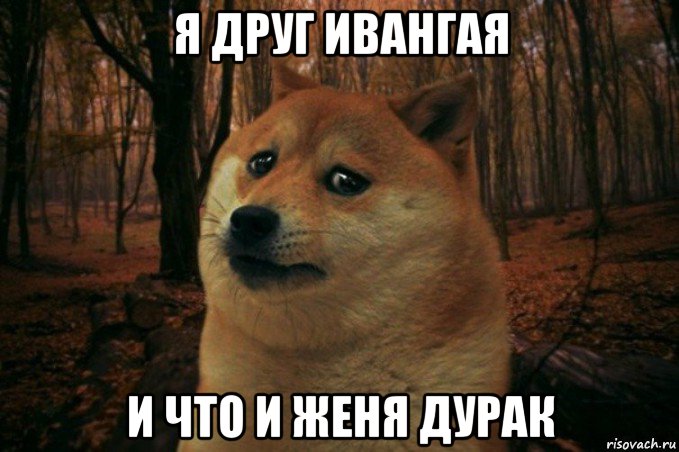 я друг ивангая и что и женя дурак, Мем SAD DOGE