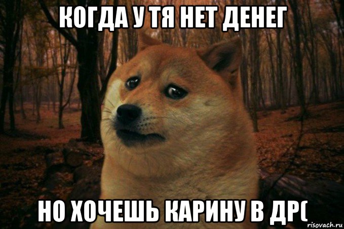 когда у тя нет денег но хочешь карину в др(, Мем SAD DOGE