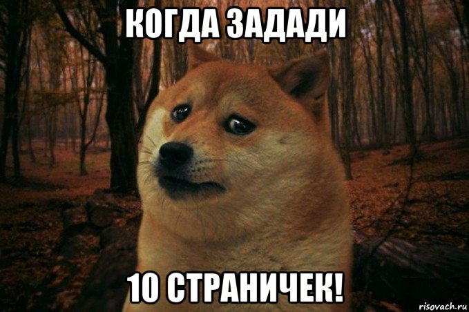 когда задади 10 страничек!, Мем SAD DOGE