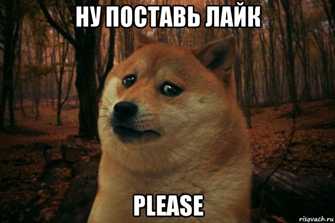 ну поставь лайк please, Мем SAD DOGE