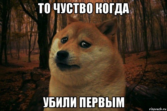 то чуство когда убили первым, Мем SAD DOGE