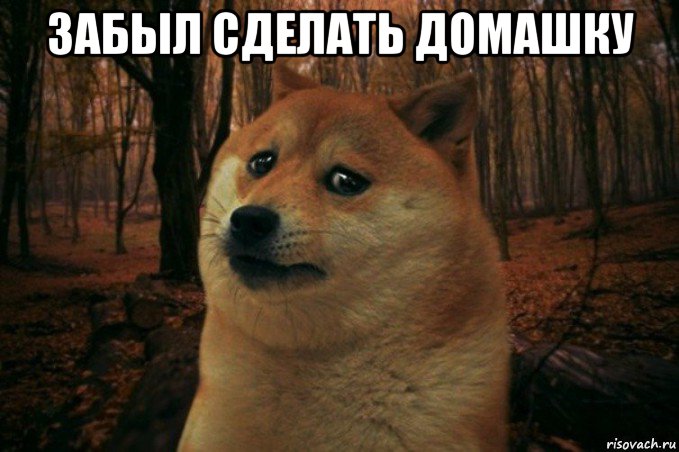 забыл сделать домашку , Мем SAD DOGE